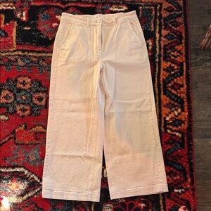 Everlane Blush Pink Wide-Leg Pants